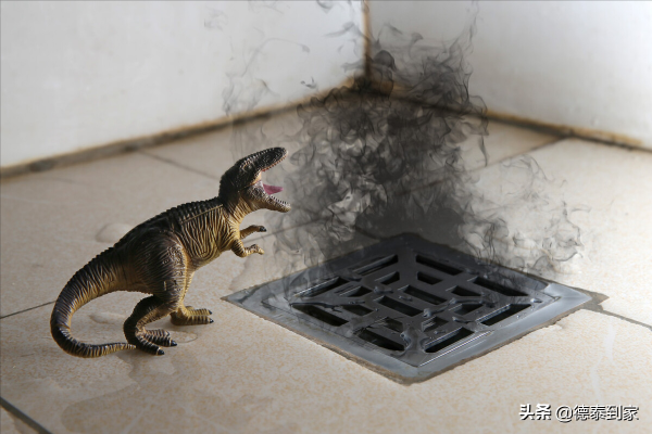 你家衛生間為什麼有臭味?換個地漏可是解決不了問題的 你家衛生間為什麼有臭味?換個地漏可是解決不了問題的