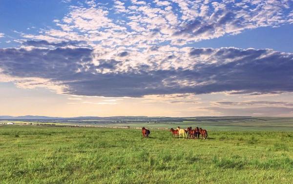 大美內蒙古，靚麗正北方