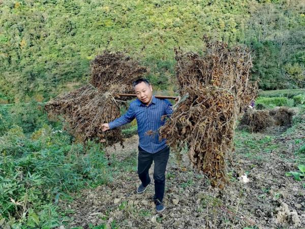 一位縣城公務員的雙休