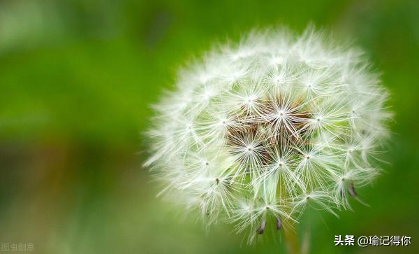 恩愛小夫妻被傳聞離婚,熟人問當事人一臉懵,準備給女方介紹物件 恩愛小夫妻被傳聞離婚,熟人問當事人一臉懵,準備給女方介紹物件