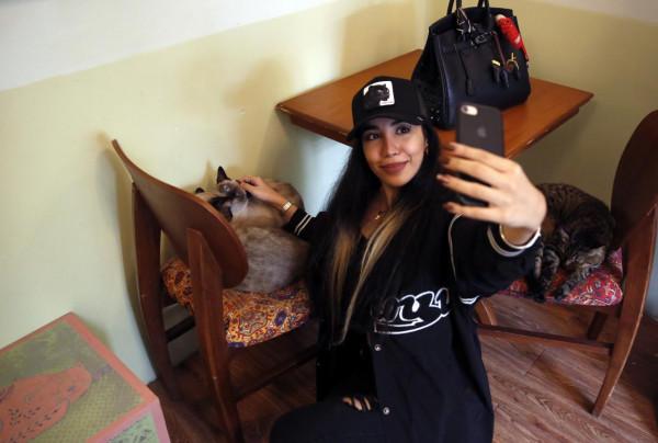 德黑蘭的貓咪咖啡館