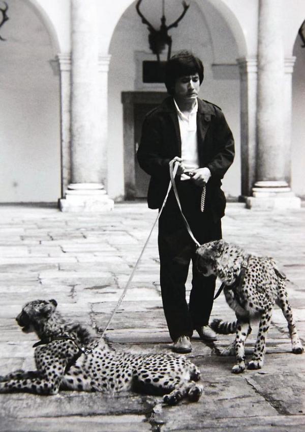 《我是誰》丟失的片段,成龍大戰犀牛,攝影師失誤造成永遠的遺憾 《我是誰》丟失的片段,成龍大戰犀牛,攝影師失誤造成永遠的遺憾