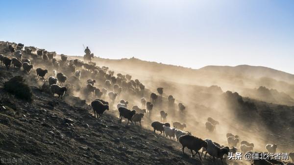 新疆哈薩克族的氈房