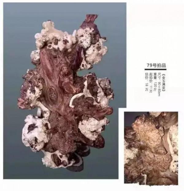 價值3000000元的極品崖柏根雕，到底長啥樣？