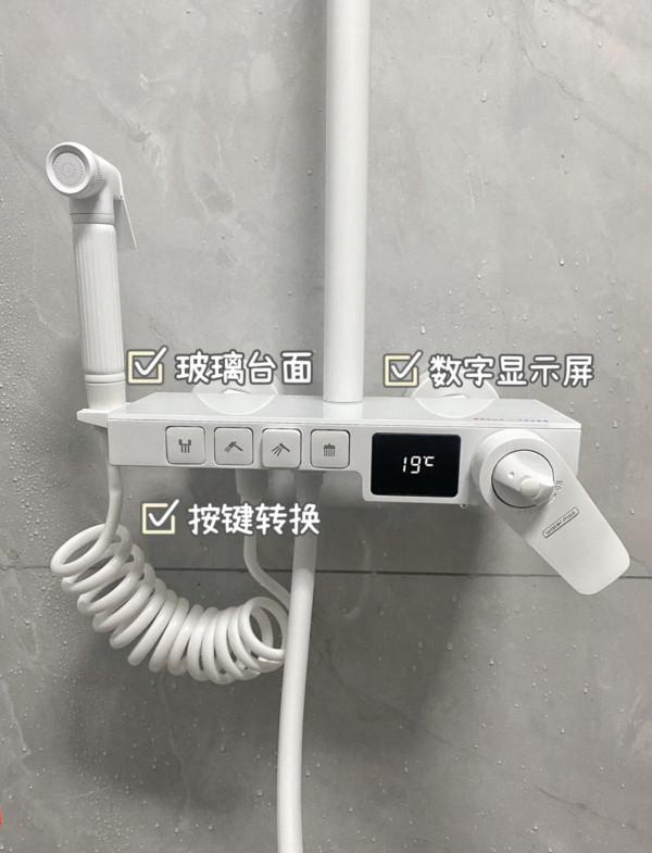 建議大家：若是再買房，花灑一定&OpenCurlyDoubleQuote;7選7不選&rdquo;，不是唬人是經驗