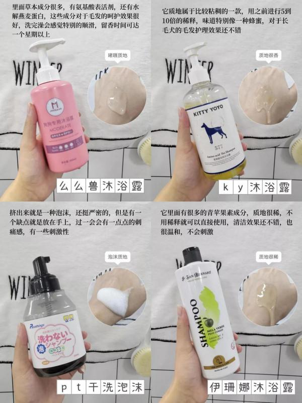 狗狗洗澡太省錢了吧