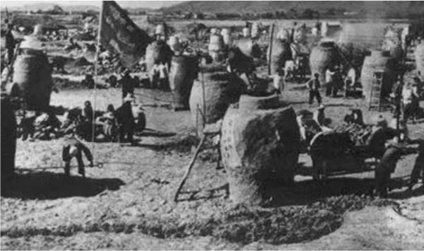 上世紀60年代，比現在明星還要火的女知青邢燕子，如今怎麼樣了？