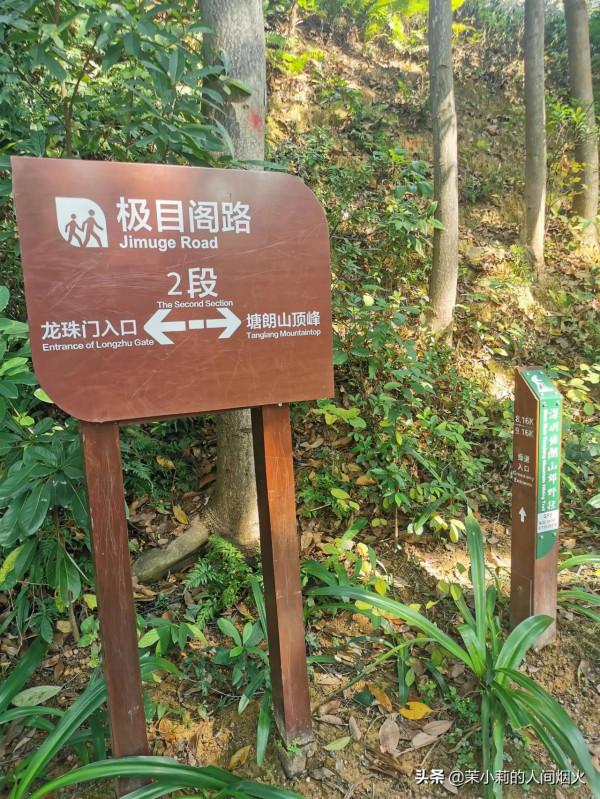 塘朗山&plus;深雲谷，我一天連爬這兩座山，也是沒誰了