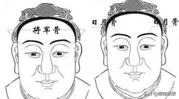 “頭生九龍骨,早晚必顯貴”,九龍骨是啥?老祖宗辨人術準嗎? “頭生九龍骨,早晚必顯貴”,九龍骨是啥?老祖宗辨人術準嗎?