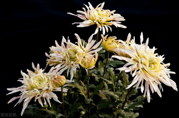 盲目攀比，註定痛苦；學會知足，才能幸福