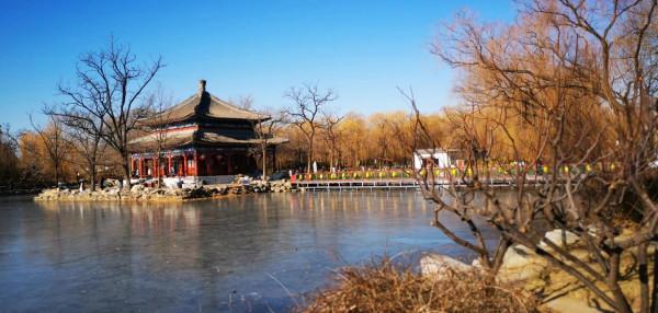 元旦小長假打卡圓明園遺址公園~綺春園 元旦小長假打卡圓明園遺址公園~綺春園