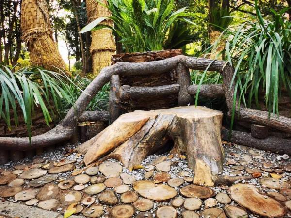 期待!中山公園的新景點“玉蘭芬香”即將亮相 期待!中山公園的新景點“玉蘭芬香”即將亮相