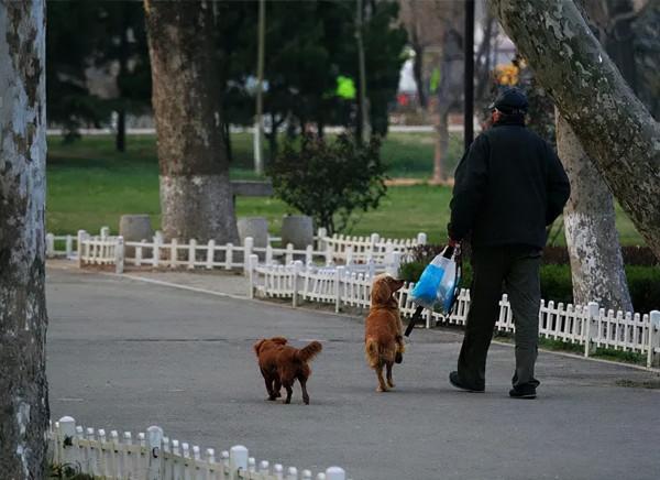 當代年輕人的“雲陪伴”：給父母裝監控