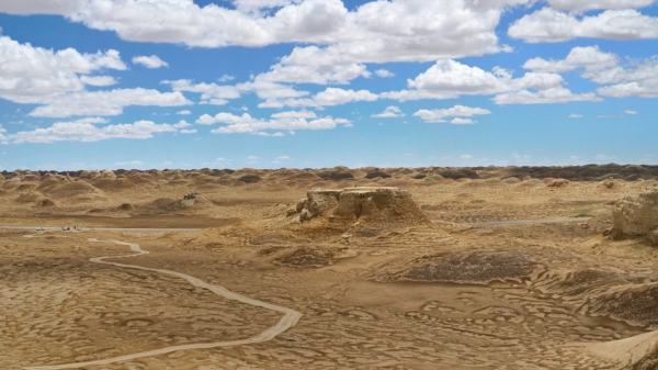 採訪筆記·與荒原對話（一）