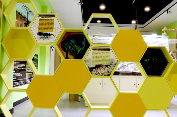 2021年小泥人幫助自然年輪昆蟲館上線鴻蒙生態服務