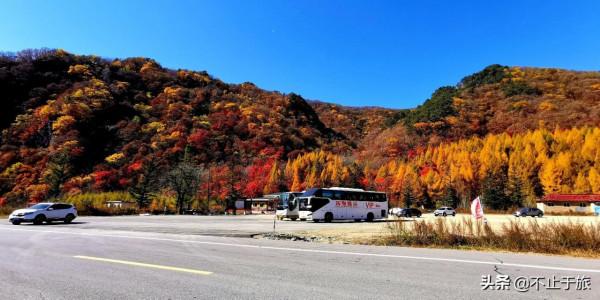 金秋旅遊旺季，東北這座小城開掛迎來中國最美早秋，讓人流連忘返