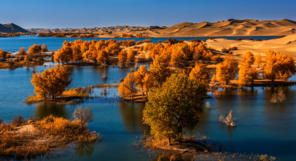 如果一年只能去一次南疆，千萬不要秋天去
