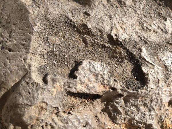 淮安發現億年月球隕石標本 淮安發現億年月球隕石標本