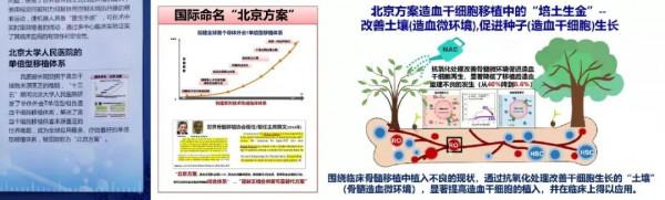 “十三五”科技展上的北大突破