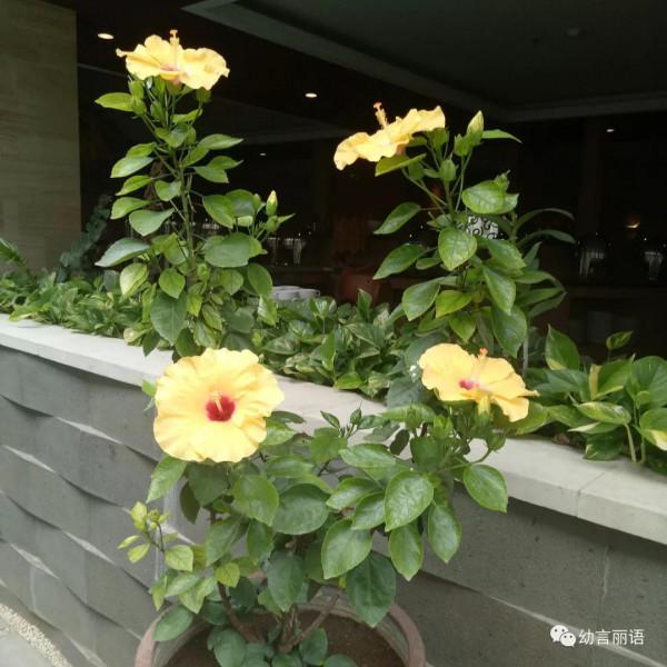 巴厘島旅遊之聽導遊講巴厘島 巴厘島旅遊之聽導遊講巴厘島