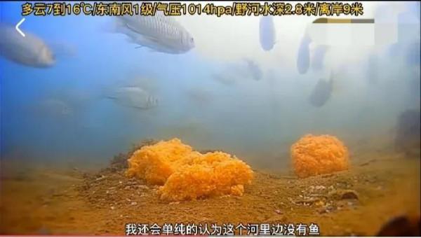 你為爆護做哪些？全是割韭菜的痕跡#八卦##垂釣#