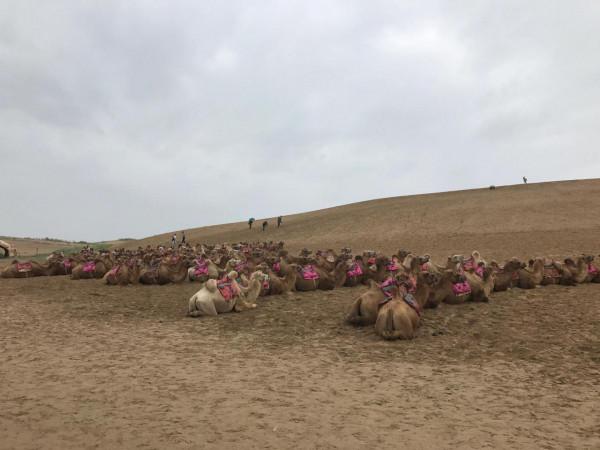 第一篇：你愛的生活就是你想要的生活。回憶有寶寶的旅行之寧夏