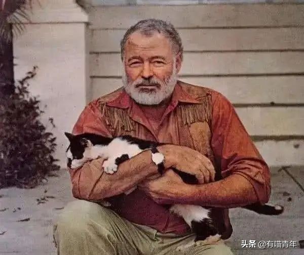 乾隆也太會給貓起名了！現代人只會：咪咪