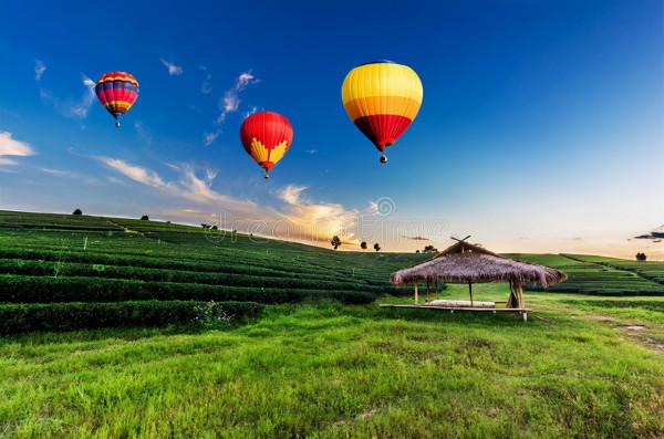 解《易經》——履卦六三爻