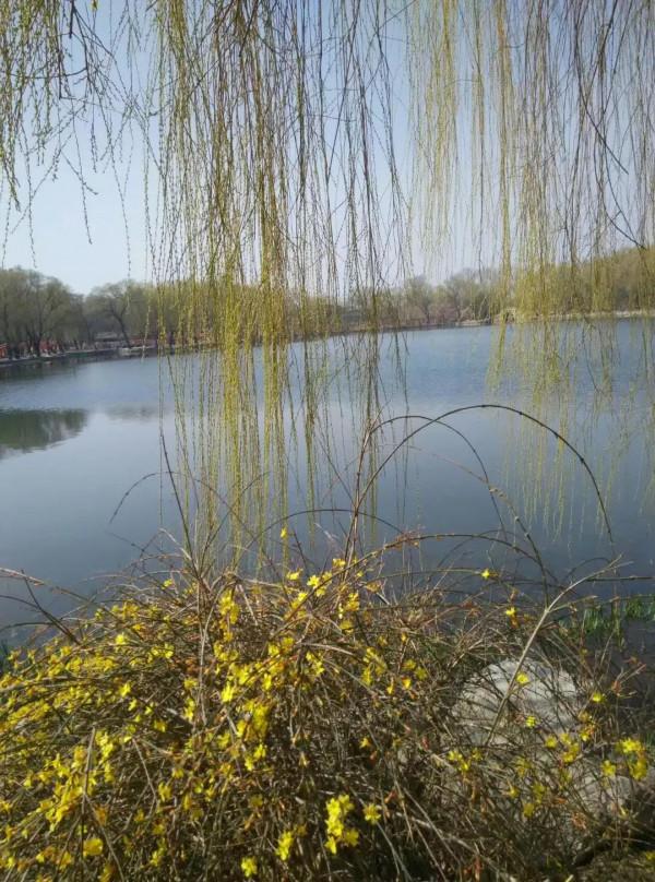 北京之旅遊記：圓明園和鳥巢水立方