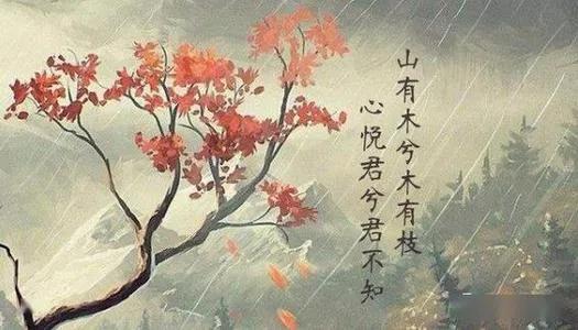 詩的魅力:一詞之差就是兩種意境,這大概就是我喜歡詩詞的原因 詩的魅力:一詞之差就是兩種意境,這大概就是我喜歡詩詞的原因