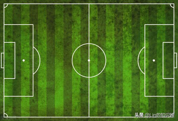 12個冷知識：雖然知道的人很少，但是卻也都真實存在著