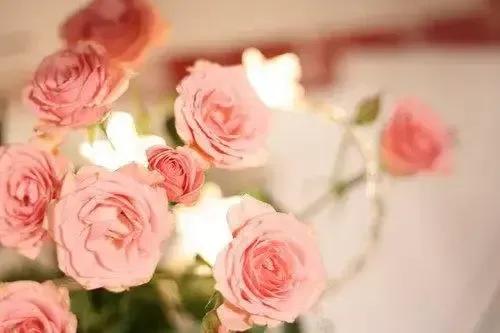 對水瓶座的人來說,能做自己,關係才能長久 對水瓶座的人來說,能做自己,關係才能長久