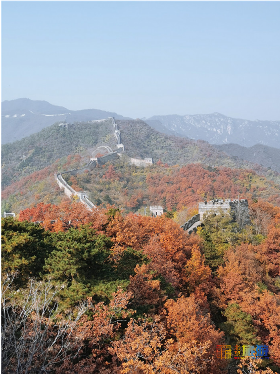 領略深秋慕田峪長城的層林盡染 感受明長城文化的精華 領略深秋慕田峪長城的層林盡染 感受明長城文化的精華
