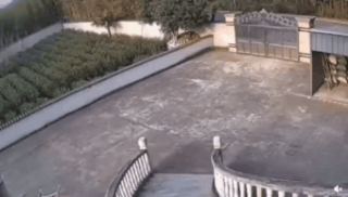 36張圖看精彩世界，巴西情侶被搶，男友撒腿就跑，女子仍淡定吃飯