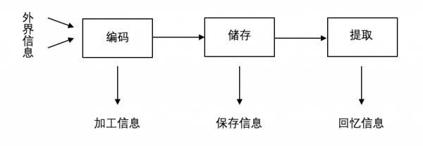 知乎高贊:如何真正提升自己的記憶力? 知乎高贊:如何真正提升自己的記憶力?