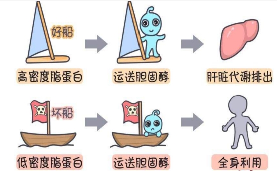 長期口服阿司匹林腸溶片和阿託伐他汀鈣會怎樣？有何注意事項？