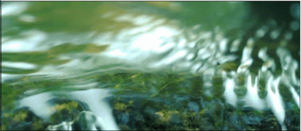 薄薄酒,難醉人,此泉能使魯酒醇。何以解憂,唯有杜康 薄薄酒,難醉人,此泉能使魯酒醇。何以解憂,唯有杜康