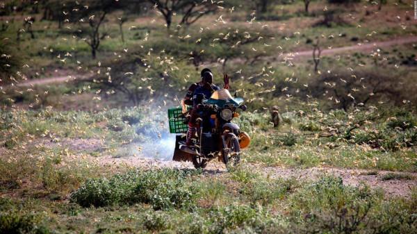 6只長頸鹿螺旋狀死在地上,210萬人被牽連,肯亞為何如此乾旱? 6只長頸鹿螺旋狀死在地上,210萬人被牽連,肯亞為何如此乾旱?