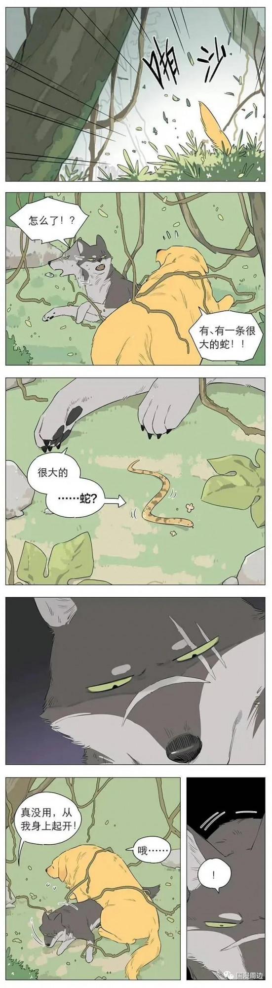 狼王撿了個小土豆：動物VS人形