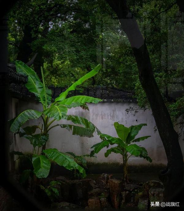 老兵負傷帶病退役,陰差陽錯未安置工作,小學代課開啟新人生 老兵負傷帶病退役,陰差陽錯未安置工作,小學代課開啟新人生