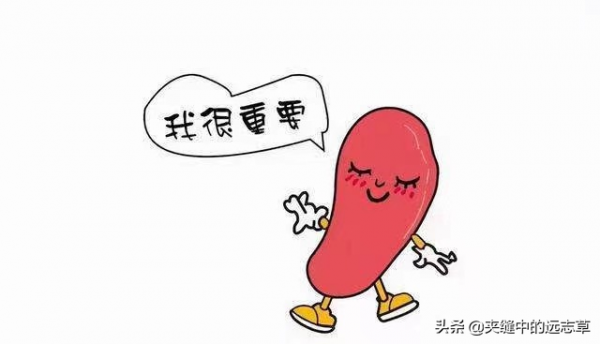 脂肪肝？送你七味中藥，清熱利溼，健脾祛痰