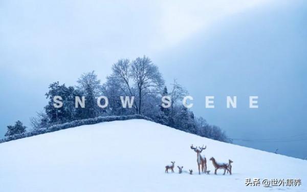 世外康養基地丨南方沒有雪？海子山、天鵝堡的冬天你值得擁有