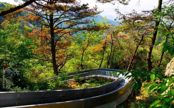 天蒙山中的冬日美景,一刻也不容錯過! 天蒙山中的冬日美景,一刻也不容錯過!