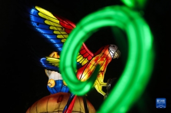 比利時：&OpenCurlyDoubleQuote;中國花燈&rdquo;攜手&OpenCurlyDoubleQuote;歐洲童話&rdquo;「圖」