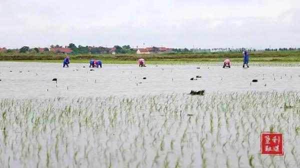 這是山東,東營! 這是山東,東營!
