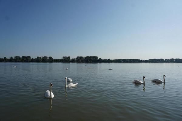 2019暑假塞爾維亞、波黑之旅（2）