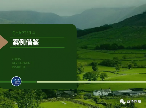 鄉村振興戰略下發展規劃、投融資規劃、城鎮發展策略、經典案例