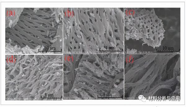 浙大：皮皮蝦殼為原料製備分層多孔碳材料，用於對稱超級電容器