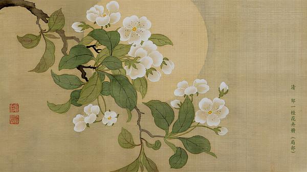 孔子《論語》全集:10個翩翩少年的男寶名字,好聽又暖心 孔子《論語》全集:10個翩翩少年的男寶名字,好聽又暖心