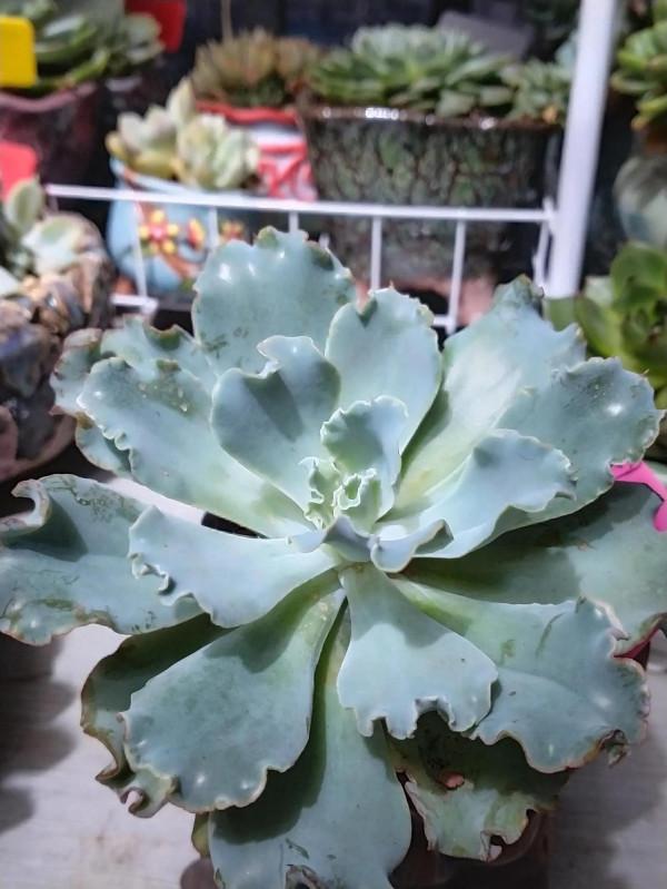 這天氣變的真快